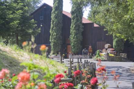 A. Rafanelli Winery