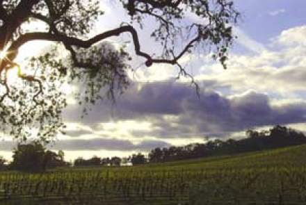 Kenneth Volk Vineyards, Paso Robles