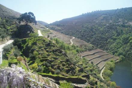 Quinta do Panascal