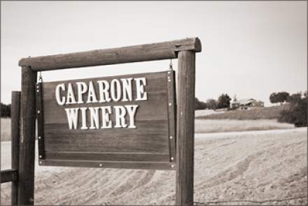 Caparone Winery