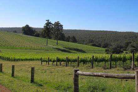 Talisman Wines AU