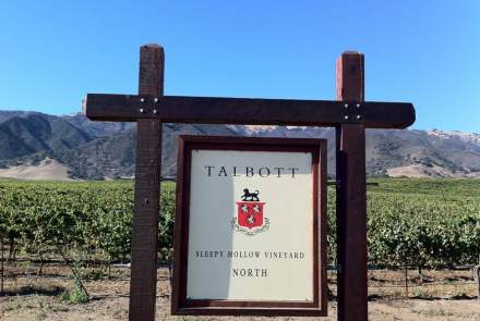 Talbott Winery - Sleepy Hollow 