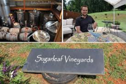 Sugarleaf Vineyards