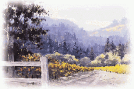 Trespass Vineyard