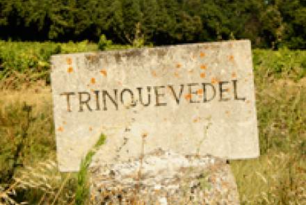 Château de Trinquevedel