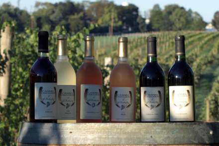 Cassel Vineyards Of Hershey