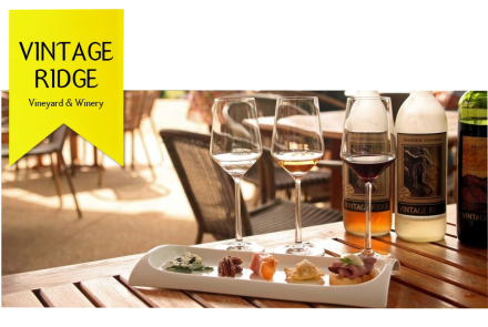 Vintage Ridge Vineyard
