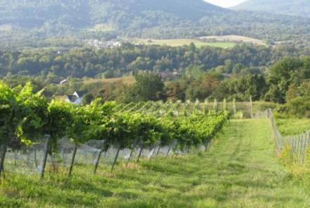 Virginia Wineworks