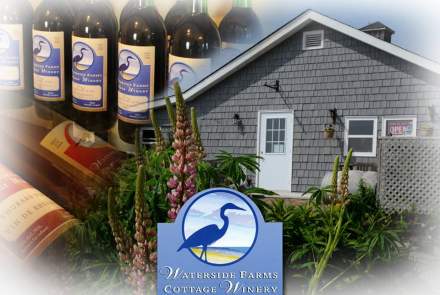 Waterside Farms Cottage Winery