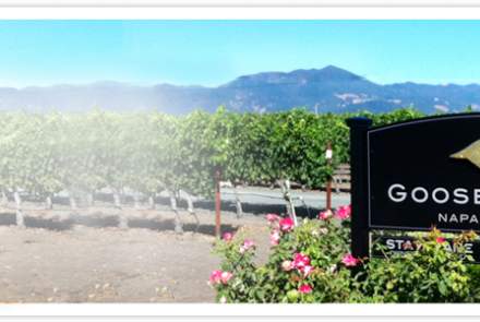 Goosecross Cellars