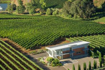 Winderlea Vineyard And Winery