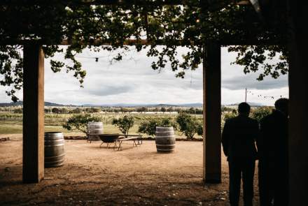 Wallington Wines
